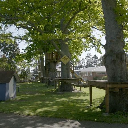 Te Aroha Holiday Park And Motels Dış mekan fotoğraf