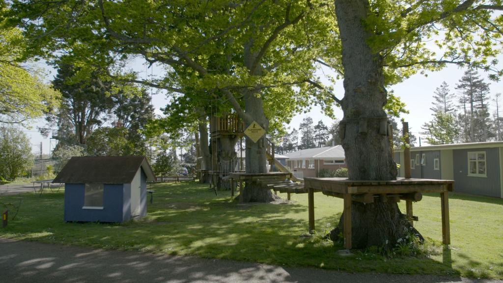 Te Aroha Holiday Park And Motels Dış mekan fotoğraf