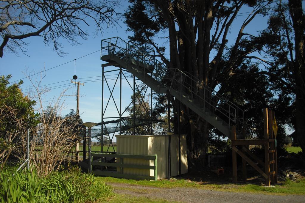 Te Aroha Holiday Park And Motels Dış mekan fotoğraf